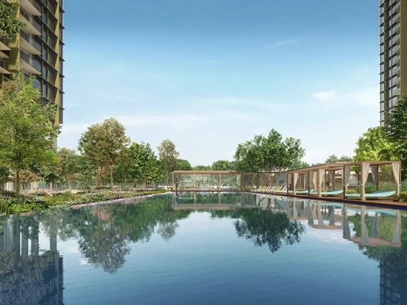 Pinetree Hill 50M Pool